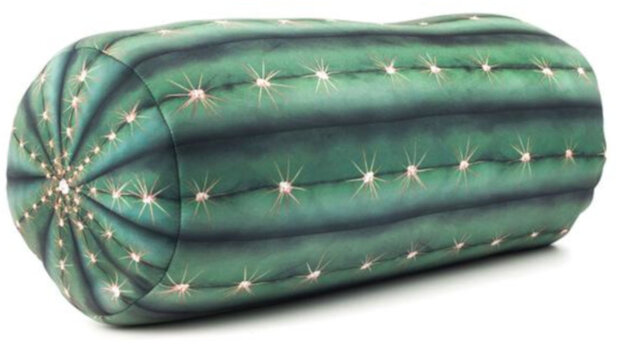 reiskussen cactus 35 cm polyester/spandex groen