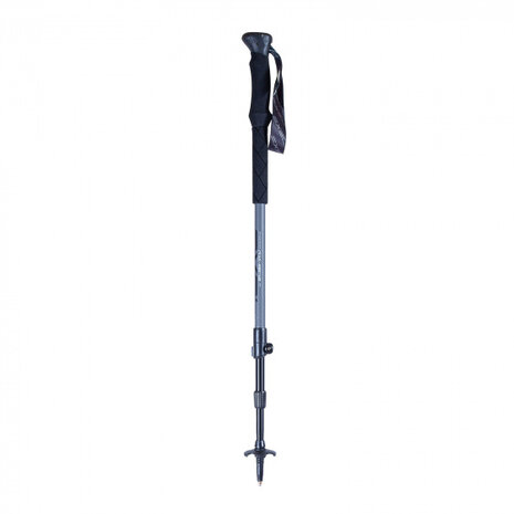 Nordic walking stokken Giant 100-135 cm carbon zwart