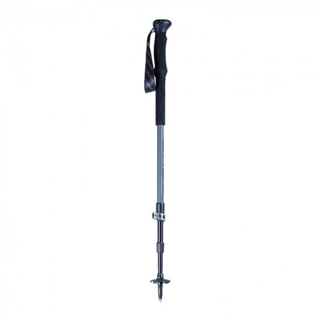 Nordic walking stokken Giant 100-135 cm carbon zwart