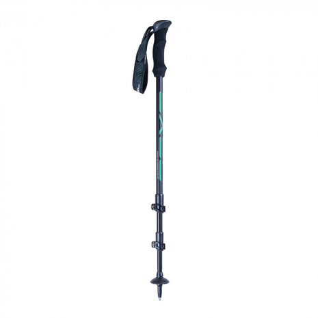 Nordic walking stokken Ridge 100-135 cm aluminium zwart