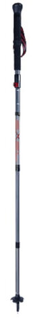 Nordic walking stokken Apex Vario 100-135 cm carbon zwart