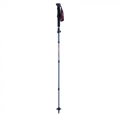 Nordic walking stokken Apex Vario 100-135 cm carbon zwart