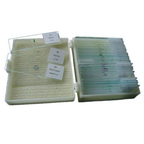 opbergdoos preparaten 25-vaks 98 x 83 x 32 mm wit