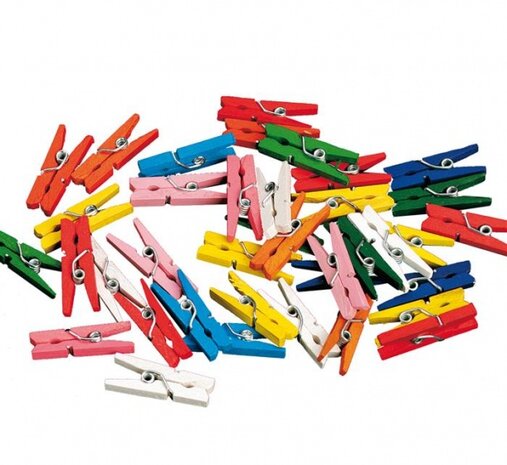 miniwasknijperset 20-delig 2,5 cm multicolor