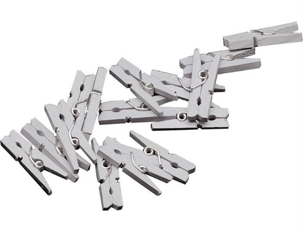 miniwasknijperset 20-delig 2,5 cm zilver