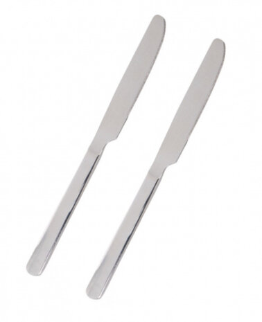 dinermes 2 stuks 22,5 cm rvs chroom