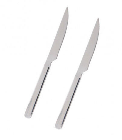 steakmes 2 stuks 23 cm rvs chroom