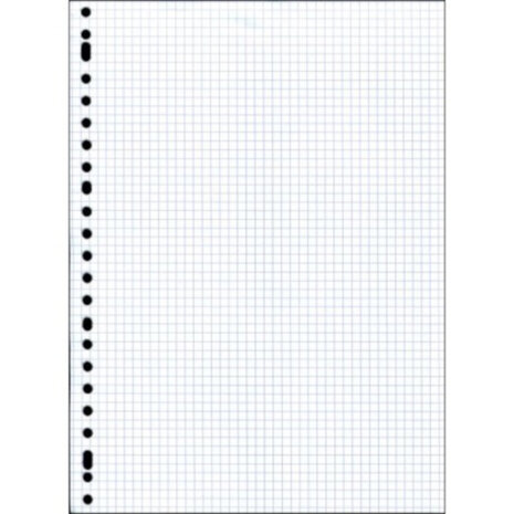 ringbandpapier ruit 5x5 mm 23-rings A4 papier wit 100 stuks