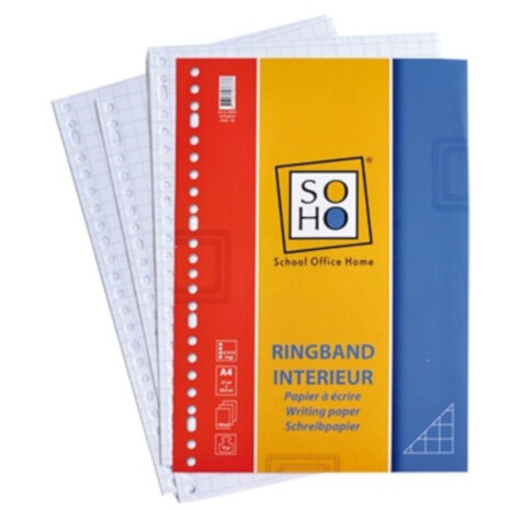 ringbandpapier ruit 10x10 mm 23-rings A4 papier 100 stuks