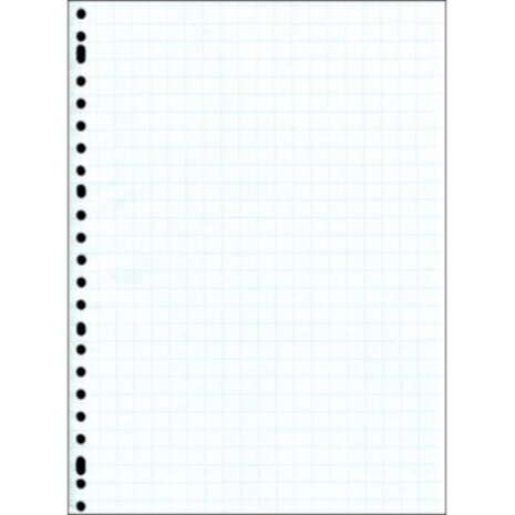 ringbandpapier ruit 10x10 mm 23-rings A4 papier 100 stuks