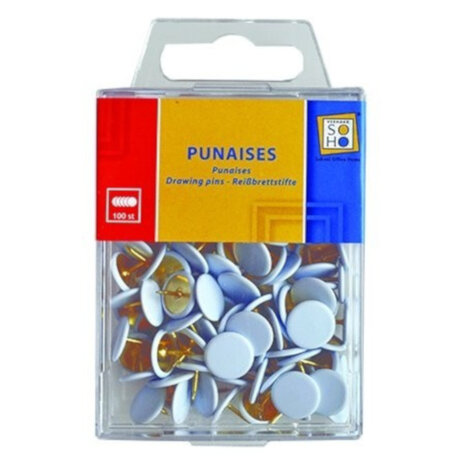 punaises 1 x 1 cm staal wit 100 stuks