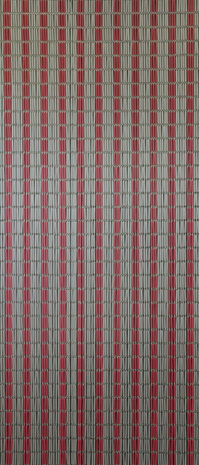 vliegengordijn Banen hulzen 232 x 100 cm PVC grijs/rood