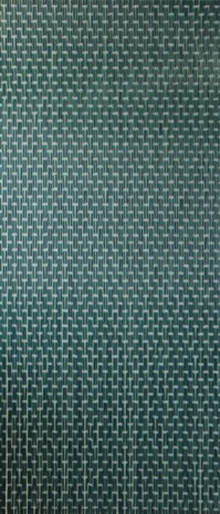 vliegengordijn Verspringt hulzen 232 x 100 cm PVC groen