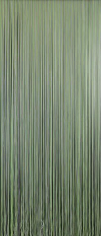vliegengordijn Palermo draad 232 x 100 cm PVC groen