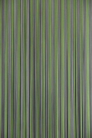 vliegengordijn Palermo draad 232 x 100 cm PVC groen