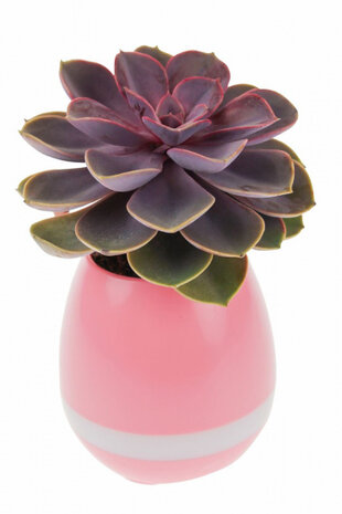 3-in-1 bloempot Smart 15 x 8,5 cm vinyl roze
