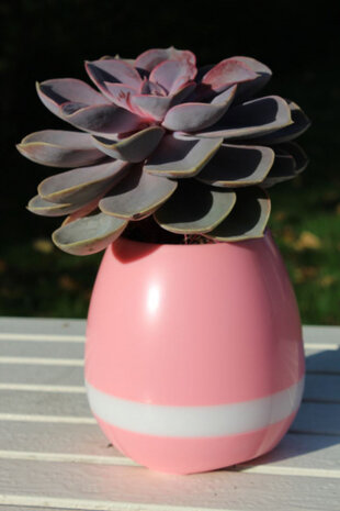 3-in-1 bloempot Smart 15 x 8,5 cm vinyl roze