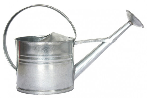 decoratieve gieter 61 cm zink 8 liter zilver