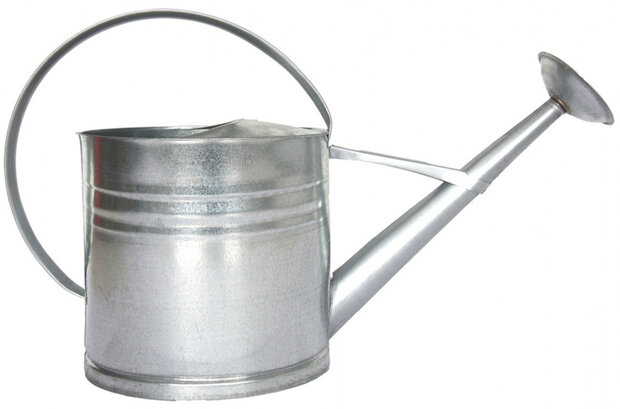 decoratieve gieter 62,5 cm zink 10 liter zilver