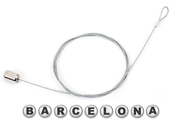 fotohouder Barcelona 150 cm acryl/staal zilver 10-delig