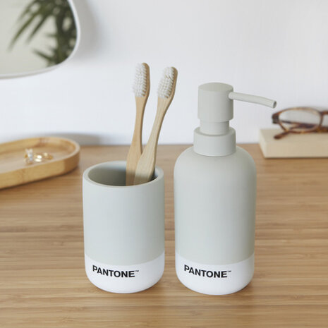 badkameraccessoire-set Pantone 17,5 x 6,9 cm grijs/wit 2-delig