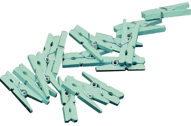 miniwasknijperset 2,5 cm hout mintgroen 20 stuks