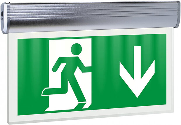noodverlichting NV42 led 3W 40 cm zilver/groen