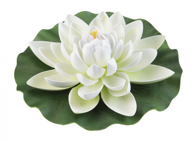 waterlelie Lotus 28 cm foam wit/groen