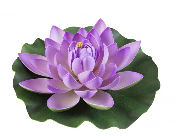 waterlelie Lotus 28 cm foam roze/groen