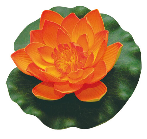 waterlelie Lotus 17 cm foam oranje/groen