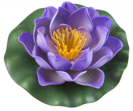 waterlelie Lotus 10 cm foam paars/groen