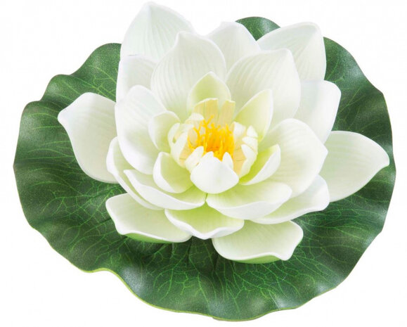 waterlelie Lotus 17 cm foam wit/groen