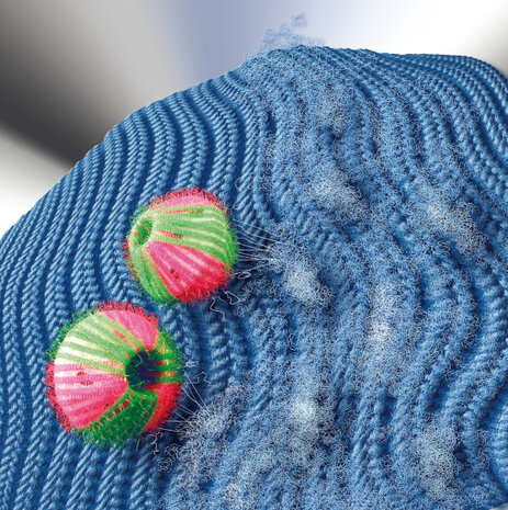 wasballen pluisverwijderaar PP/PA groen/roze 6 stuks