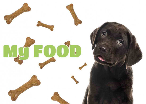 placemat hond 42 x 30 cm polypropyleen wit