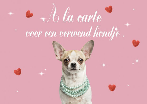 placemat hond 42 x 30 cm polypropyleen oudroze