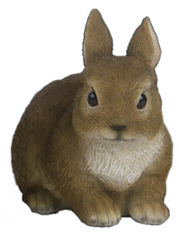 tuinbeeld Konijn 14,3 cm polyresin bruin