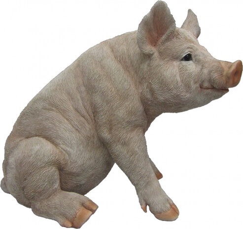 tuinbeeld Varken 44,7 cm polyresin cr&egrave;me