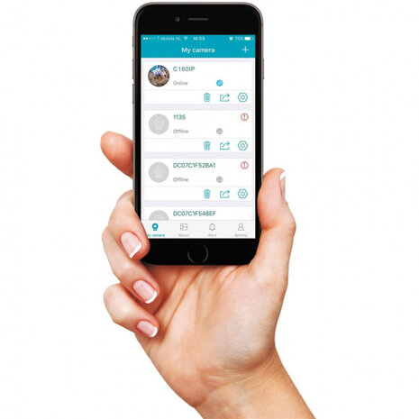 beveiligingscamera C360IP binnen WiFi 360&deg; wit