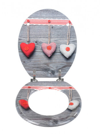 toiletbril harten 35,5 x 42,5 cm houtvezels grijs 1st.