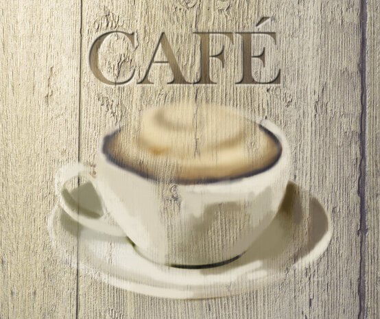 spatbescherming Caf&eacute; 60 x 50 cm glas zwart
