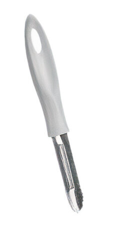 rasp 20 cm RVS chroom
