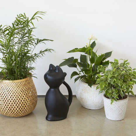 plantengieter Meow 2 liter 30 x 18 cm zwart