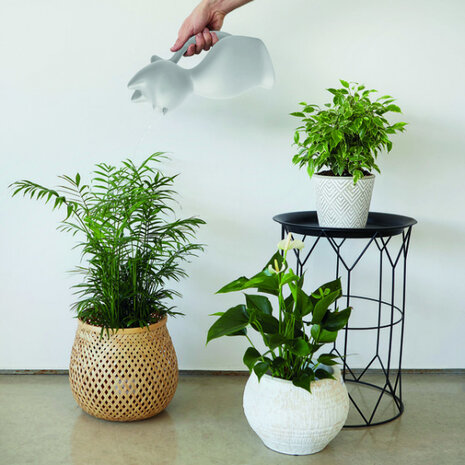 plantengieter Meow 2 liter 30 x 18 cm wit