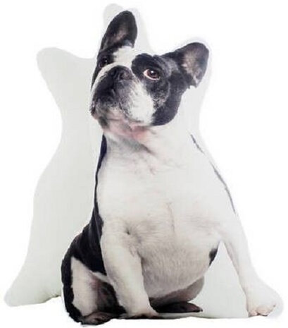 kussen 3D French Bulldog 39 x 58 cm su&egrave;de wit/zwart