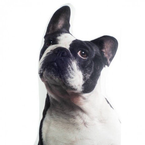 kussen 3D French Bulldog 39 x 58 cm su&egrave;de wit/zwart
