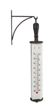 thermometer Bjorn 45 cm staal zwar