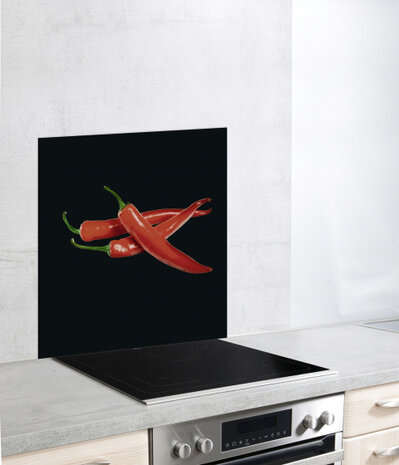 spatbescherming 70 x 60 cm glas zwart/rood