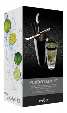 cocktailset Mojito RVS zilver 6-delig