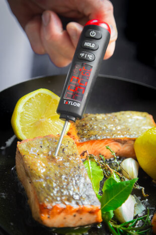 voedselthermometer Taylor 24,5 cm ABS zwart