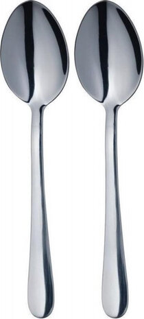 lepels RVS zilver 2-delig